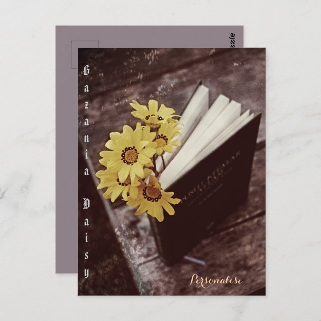 Rustic African Yellow Daisy Flower Bookmark Floral Postcard (Front/Back)