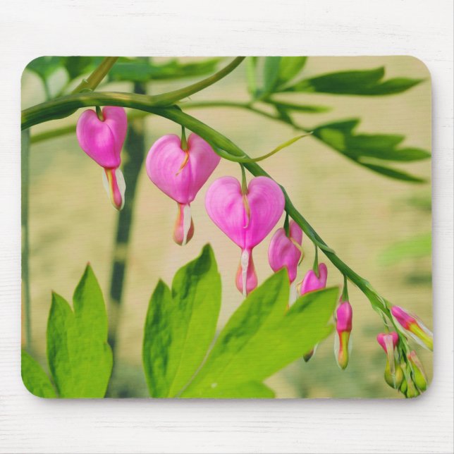 Rustic Asian Bleeding Heart Lamprocapnos Flower Mouse Pad (Front)