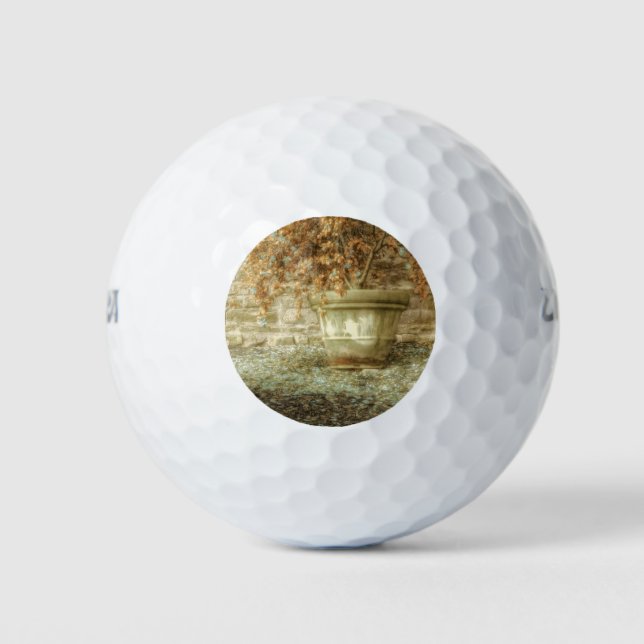 Rustic Autumn Garden Golf Balls (Front)