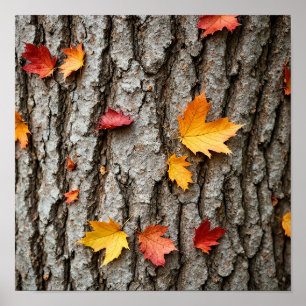 Rustic Autumn Leaves Fall Colors Tree Bark Poster