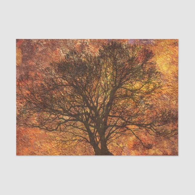 Rustic Autumn Tree Decoupage Background Tissue Paper (Front)