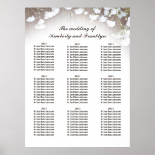 Rustic Baby's Breath Country Wedding Seating Chart