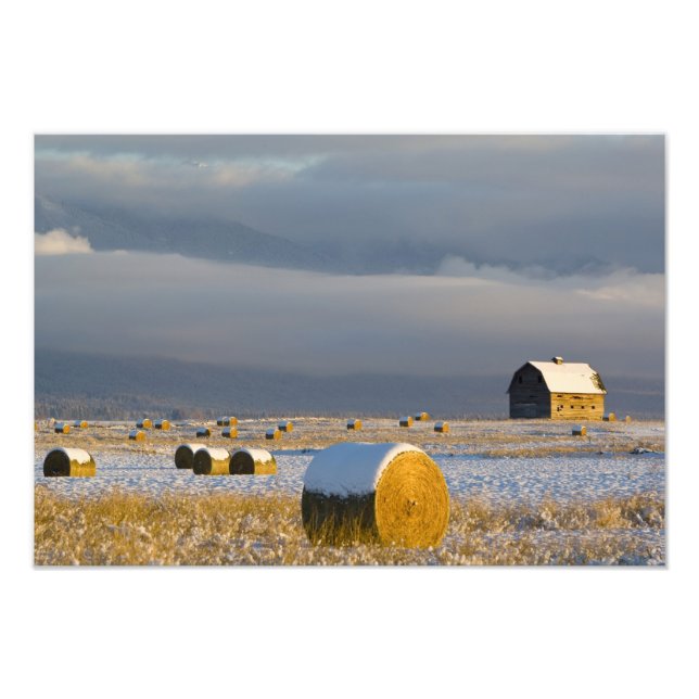 Rustic barn and hay bales after a fresh snow 3 photo print (Front)