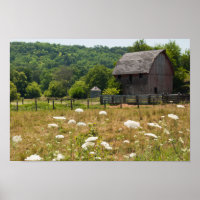 Rustic Barn and Queen Anne's Lace