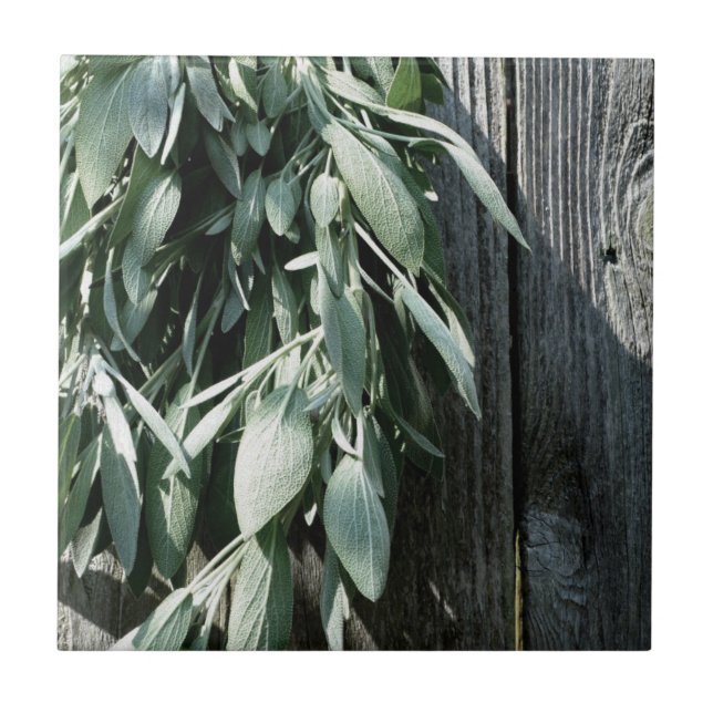 Rustic Barn-wood botanical herbs Tile (Front)