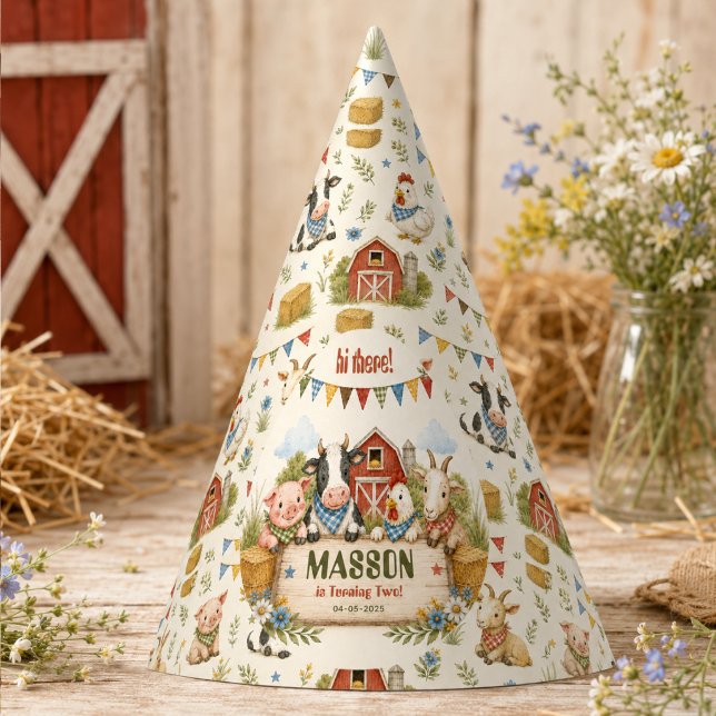 Rustic Barnyard 2nd Birthday kids Party Hat (Rustic Barnyard 2nd Birthday kids Party Hat
)