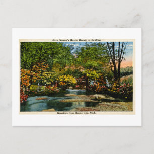 Rustic Beauty is Sublime Greetings Boyne City, MI Postcard