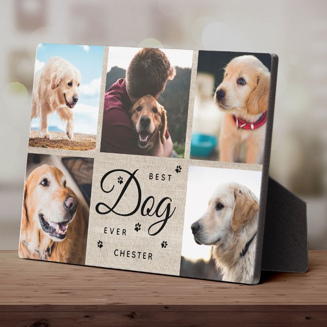 Rustic Best Dog Ever Memorial Modern Photo Collage Plaque (Creator Uploaded)