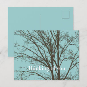 Rustic Blue Brown Tree Branches Postcard