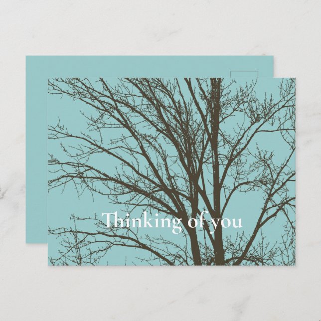 Rustic Blue Brown Tree Branches Postcard (Front/Back)