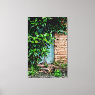 Rustic Blue Door Behind Lush Green Foliage and Bri Canvas Print