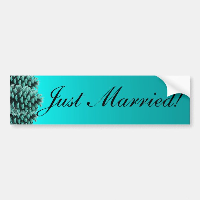 Rustic blue pine cone just married bumpersticker bumper sticker (Front)