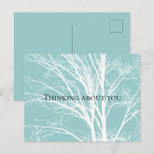 Rustic Blue White Tree Branches Postcard
