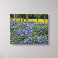 Rustic Bluebonnets