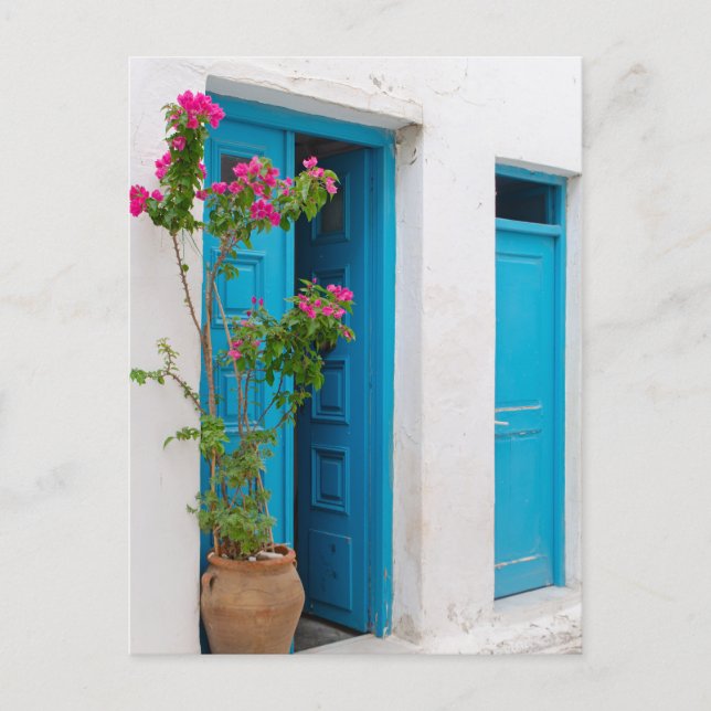 Rustic Bougainvillea Greek Door Postcard (Front)