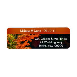 Rustic Bride Groom Fall Foliage Wedding Invite