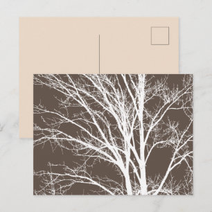Rustic Brown White Tree Branches Postcard