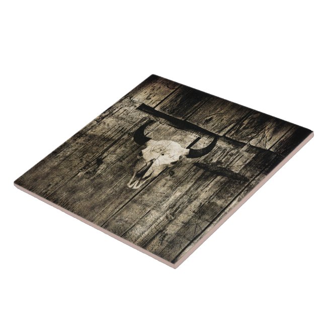 Rustic buffalo skull with horns on a barn tile (Side)