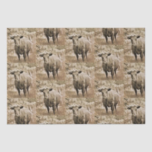 Rustic Bull on Farm  Pattern Decoupage Tissue Paper