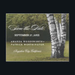 Rustic Carved Birch Tree Country Save The Date Announcement Postcard<br><div class="desc">Rustic Carved Birch Tree Country Save The Date Postcards - features a grove of birch trees. Design also features an element where you can carve initials into the main tree. The background features a woodsy landscape in shades of green with elegant fonts. See the entire matching collection below.</div>