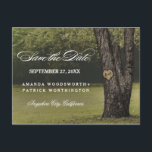 Rustic Carved Oak Tree Country Save The Date Announcement Postcard<br><div class="desc">Rustic Carved Oak Tree Country Save The Date Postcards - features a grove of oak trees. Design also features an element where you can carve initials into the main tree. The background features a woodsy landscape in shades of green with elegant fonts. See the entire matching collection below.</div>