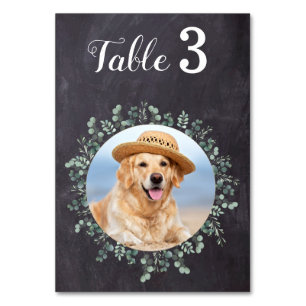 Rustic Chalkboard Eucalyptus Wedding Photo Table Number
