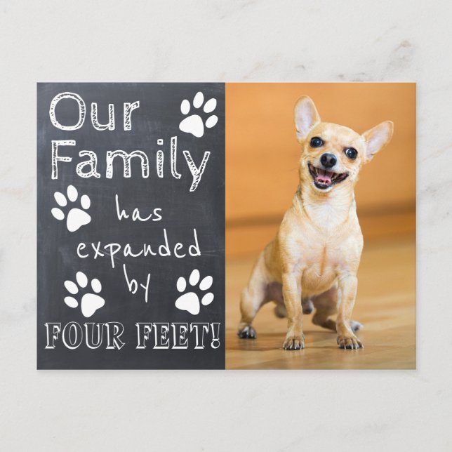 Rustic Chalkboard New Pet Announcement with Paws | (Front)