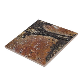 Rustic Charm Abstract Print Tile