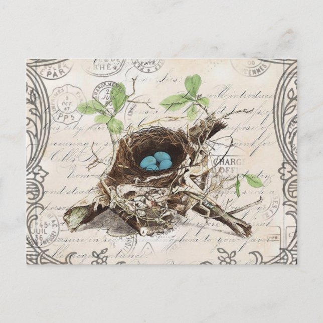 rustic chic french country botanical bird nest postcard (Front)