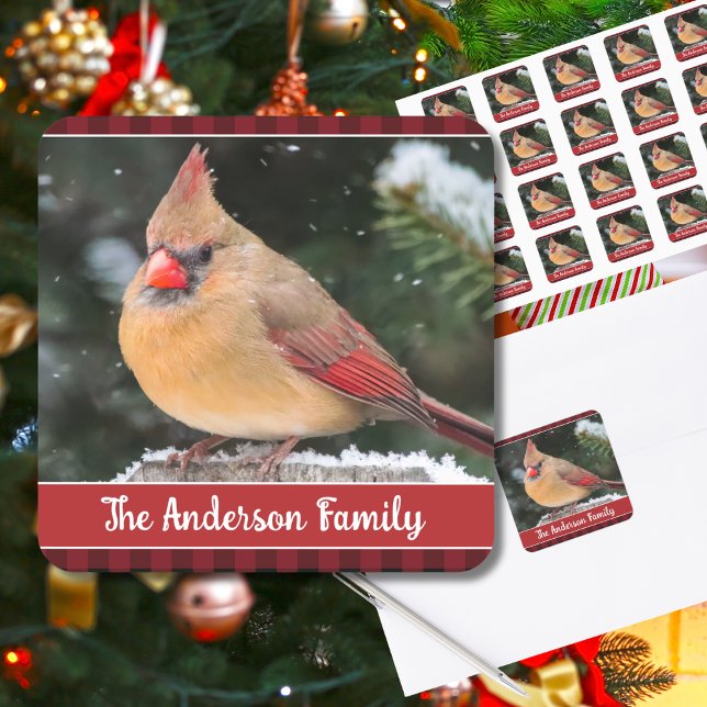 Rustic Christmas Northern Cardinal Plaid Nature Square Sticker (This rustic Christmas card seal with customizable text features a pretty female Northern Cardinal.)