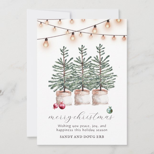 Rustic Christmas Trees Holiday Card (Front)