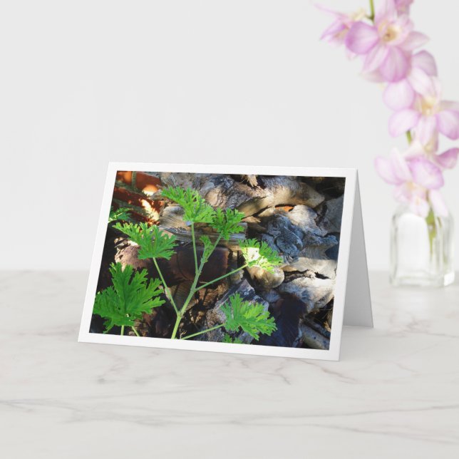 Rustic Citronella Leaf Portrait Card (Orchid)