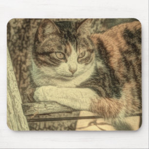 Rustic country cat lover farmhouse calico cat mouse pad
