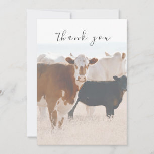 Rustic Country Cows In Field Flat Thank You Card