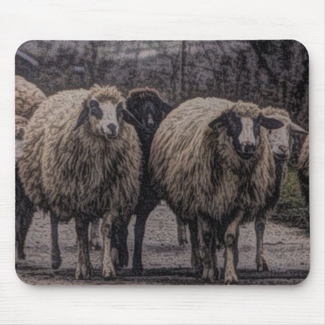 Rustic country road ranch farm herd of sheep mouse pad (Front)