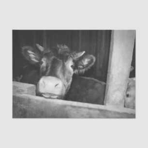 Rustic Cow Country Vintage Black And White Barn Tissue Paper