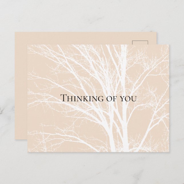 Rustic Cream White Tree Branches Postcard (Front/Back)