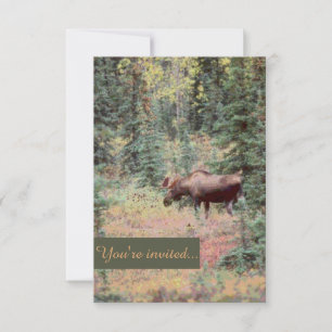 Rustic customisable moose wedding invitations