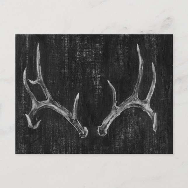 Rustic Deer Animal Head on Chalkboard Postcard (Front)