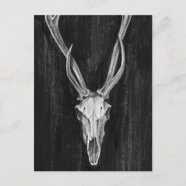 Rustic Deer Animal Head Postcard (Front)
