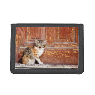 Rustic Door Cat Kitten Ladies Wallet Purse