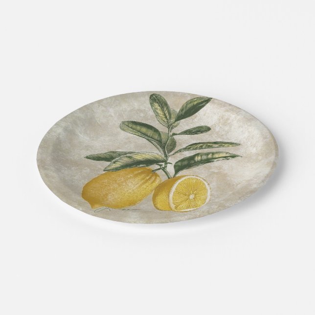 Rustic Etched Vintage Lemons  Paper Plate (Angled)