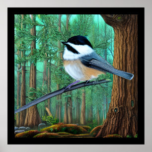 Rustic Evergreen Pine Chickadee Poster