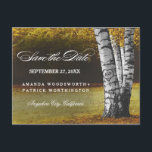 Rustic Fall Birch Tree Country Save The Date Announcement Postcard<br><div class="desc">Rustic Carved Fall Birch Tree Country Save The Date Postcards - features a grove of birch trees. Design also features an element where you can carve initials into the main tree. The background features a woodsy landscape in autumn shades with elegant fonts. See the entire matching collection below.</div>