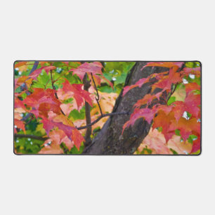 Rustic Fall Colours Autumn Foliage Photo Desk Mat