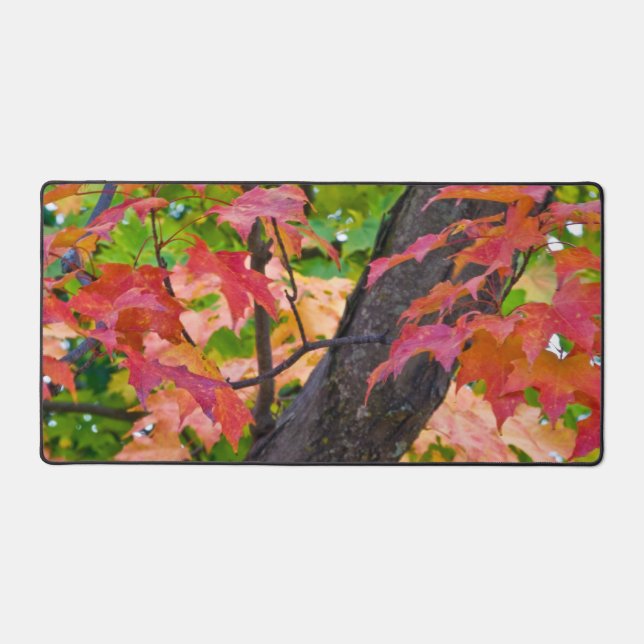 Rustic Fall Colours Autumn Foliage Photo Desk Mat (Front)