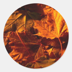 Rustic Fall Leaves Wedding Invitation Custom Seal