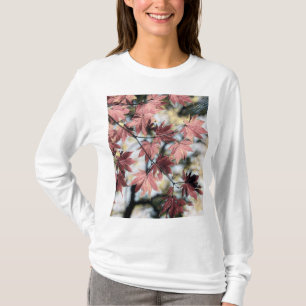 Rustic fall maple leaves rusty red pink brown T-Shirt