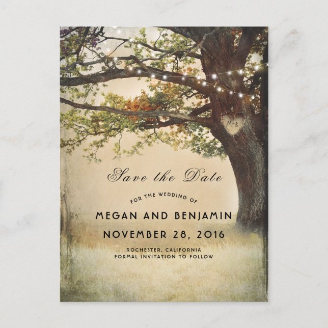 Rustic Fall Tree and Twinkle Lights Save the Date Announcement Postcard (Front)