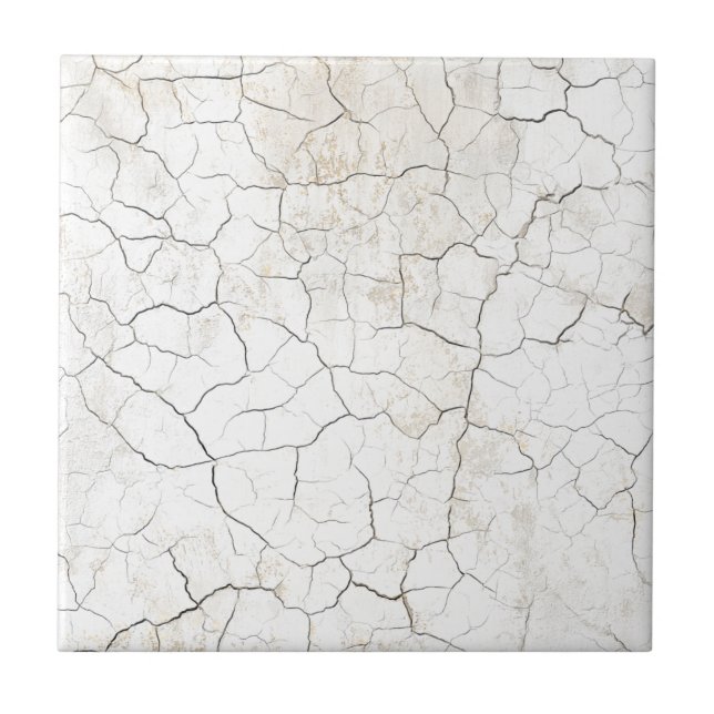 Rustic Faux Cracked Porcelain Texture Tile (Front)